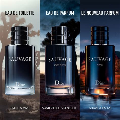 savage dior sephora|Dior Sauvage 100ml best price.